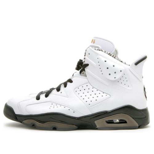 Air Jordan 6 Retro Premium ??Motorsports?? 395866-101